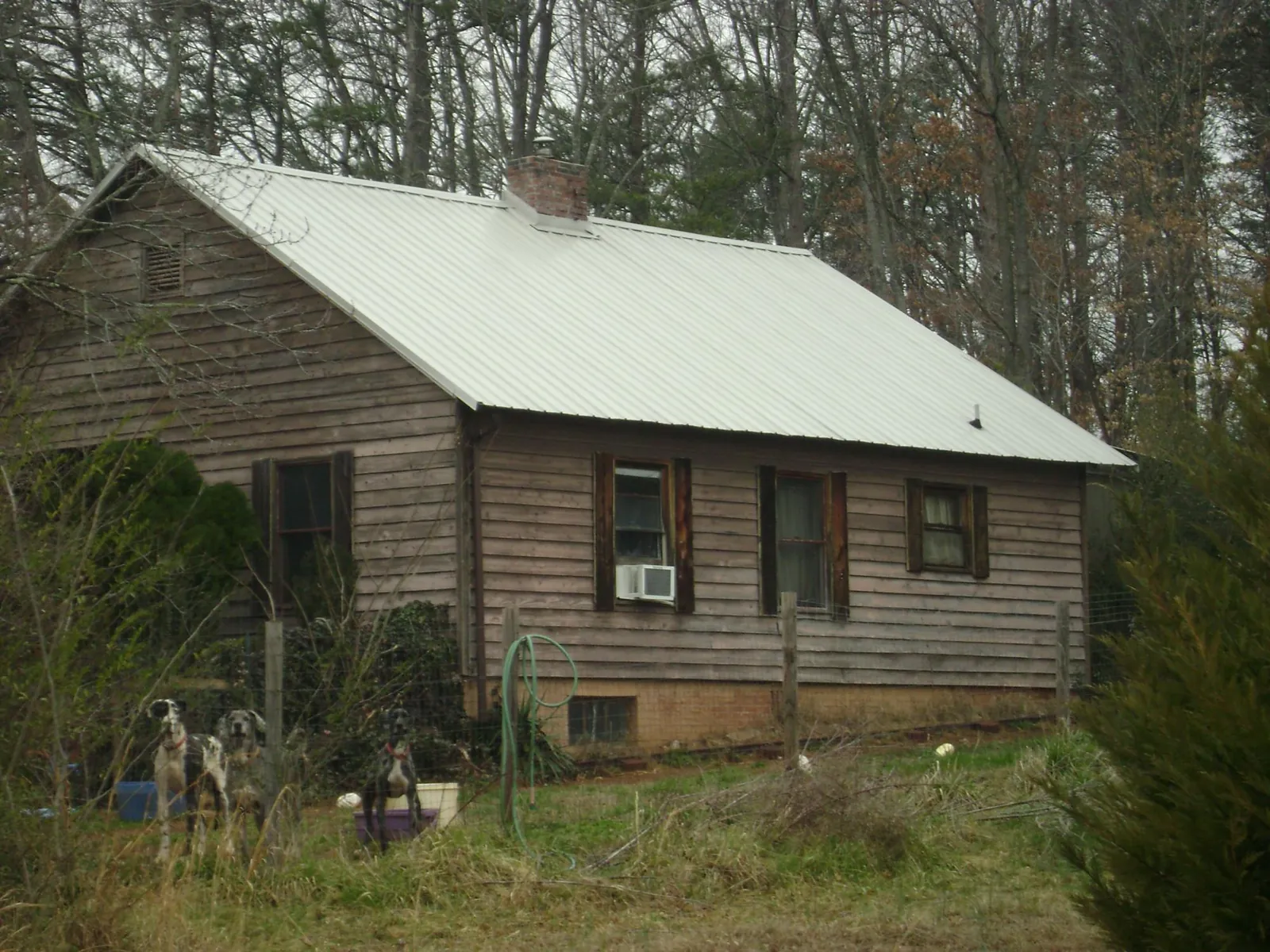 White metal roof on an old wood sided farmhouse, from a Asphalt Shingle Roof Repair job in Kingsville